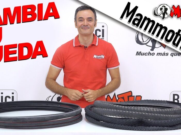 neumáticos bicicleta de montaña