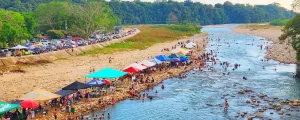 brisas del llano
